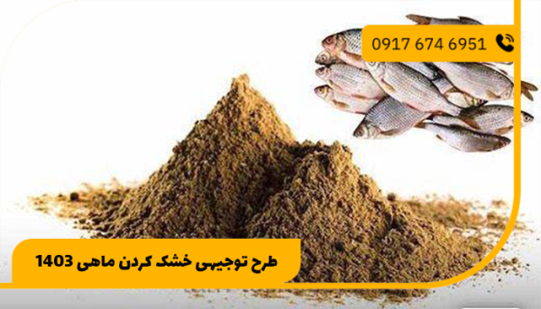 طرح توجیهی خشک کردن ماهی 1403