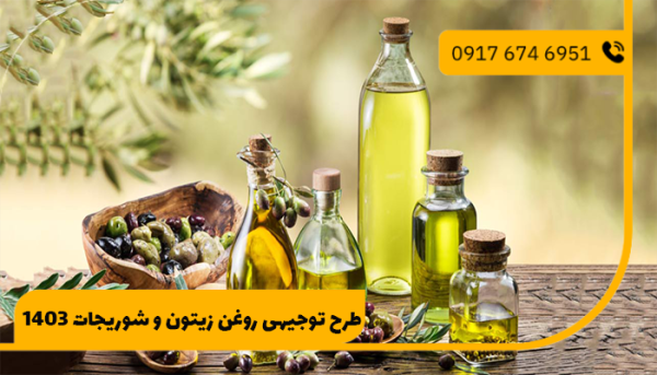 طرح توجیهی روغن زیتون و شوریجات 1403