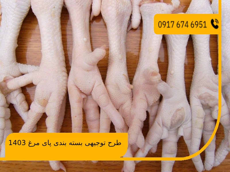 طرح توجیهی بسته بندی پای مرغ 1403