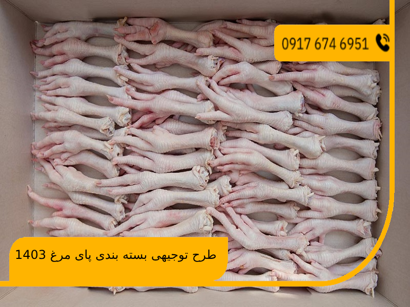 طرح توجیهی بسته بندی پای مرغ 1403