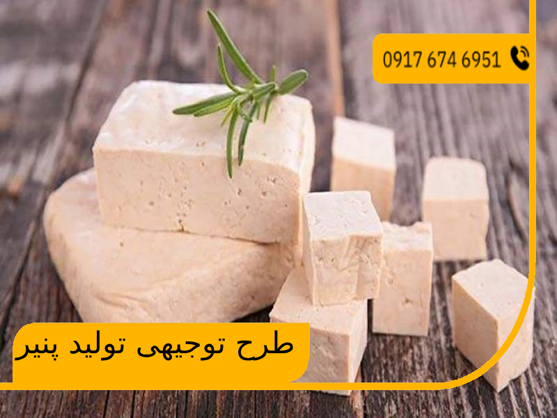 طرح توجیهی تولید پنیر