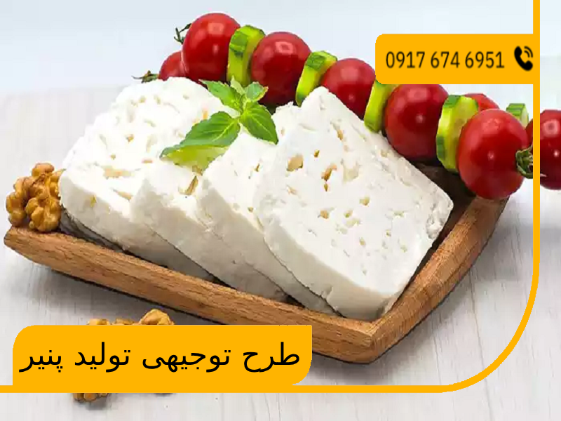 طرح توجیهی تولید پنیر