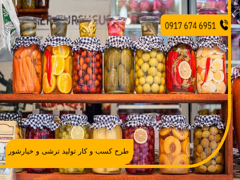 طرح کسب و کار تولید ترشی و خیارشور