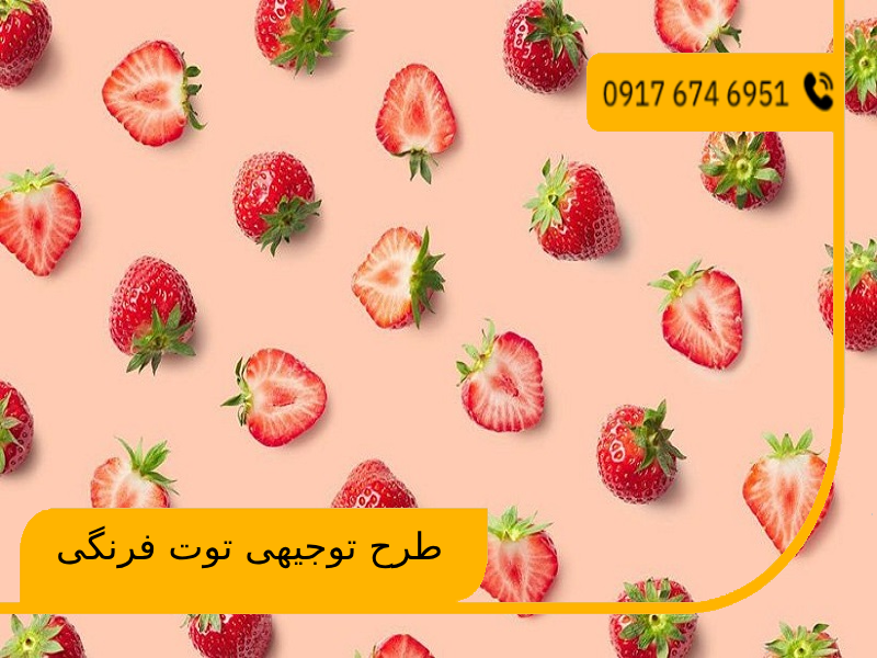 طرح توجیهی توت فرنگی