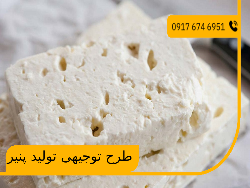 طرح توجیهی تولید پنیر