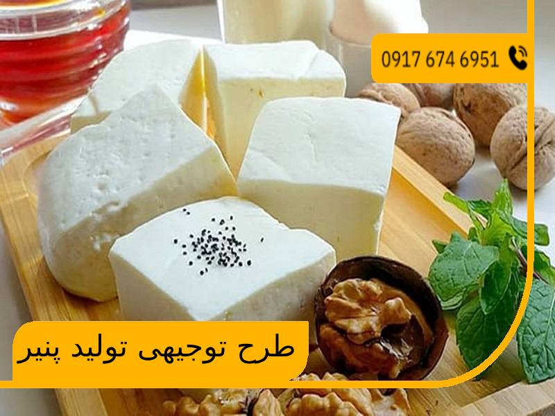 طرح توجیهی تولید پنیر