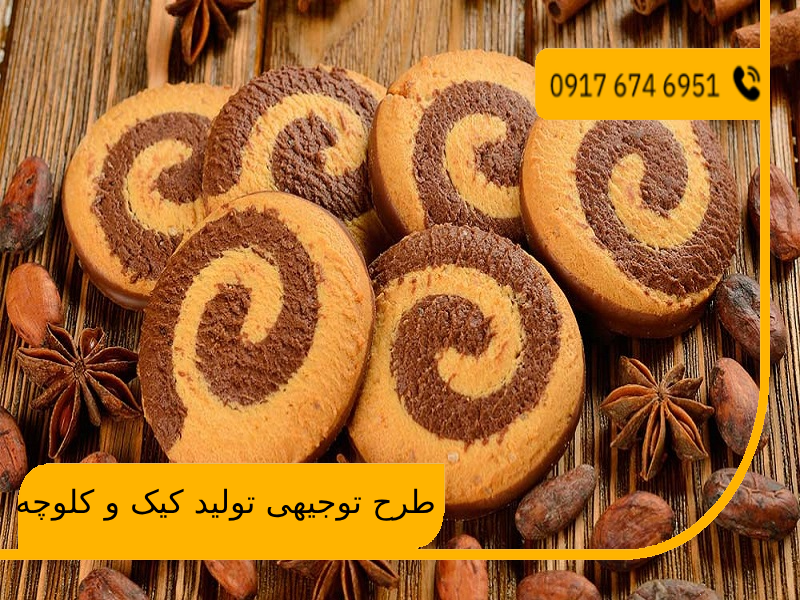 طرح توجیهی تولید کیک و کلوچه 