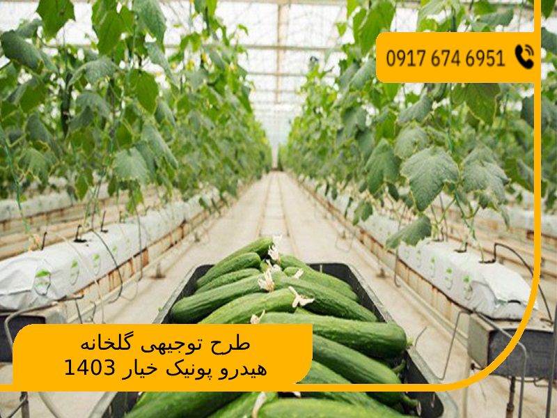 طرح توجیهی گلخانه هیدرو پونیک خیار 1403