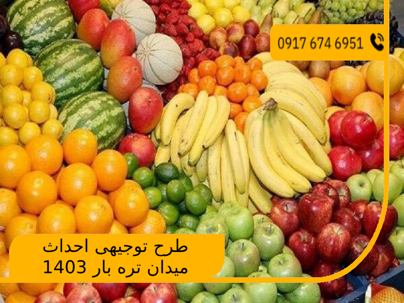 طرح توجیهی احداث میدان تره بار 1403