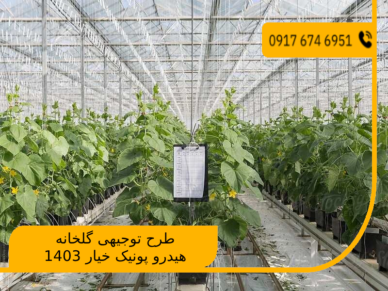 طرح توجیهی گلخانه هیدرو پونیک خیار 1403