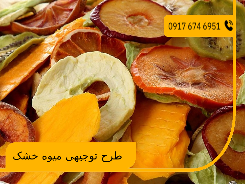 طرح توجیهی میوه خشک