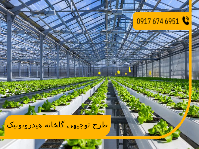 طرح توجیهی گلخانه هیدروپونیک