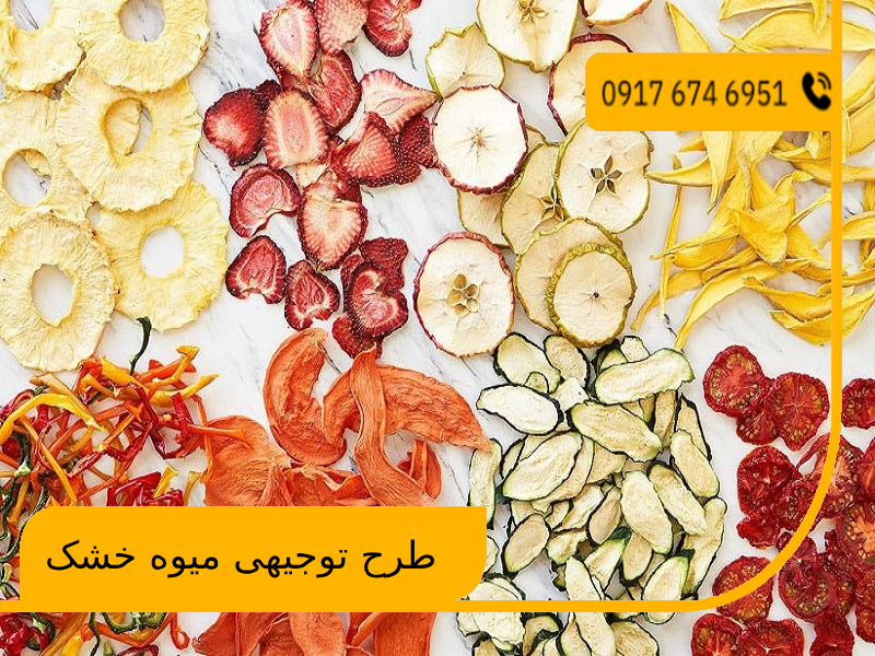 طرح توجیهی میوه خشک