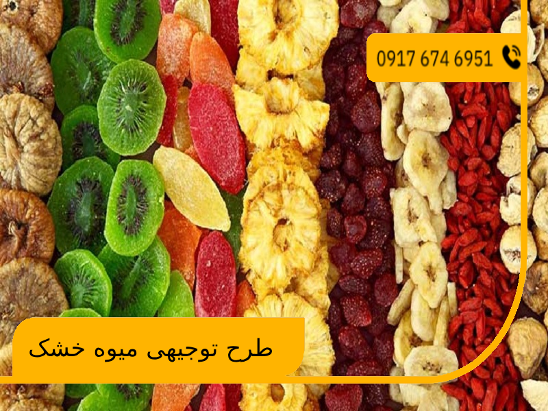 طرح توجیهی میوه خشک